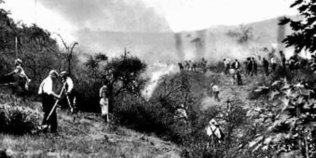 1933 Griffith Park Fire (Courtesy of USC Regional History Center)