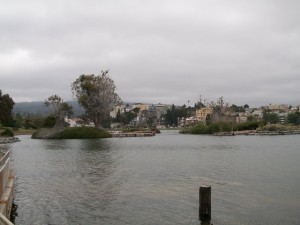 Lake Merritt Bird Sanctuary by Cycling Through History, August 2011