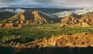 Ojai Valley.