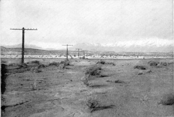 Telephone wires crossing the Nevada desert.