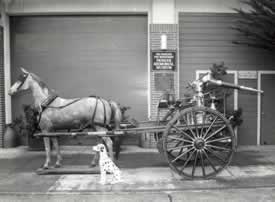 San Francisco fire department horse drawn battery (1909).