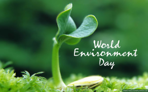 U.N. World Environment Day.