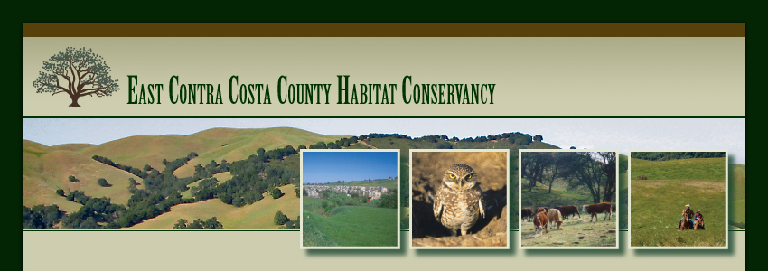 East Contra Costa County Habitat Conservation Plan.