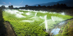 Central Valley farm irrigation.